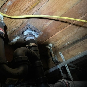 Photo of Rodent Control Santa Rosa - Pro Attic
