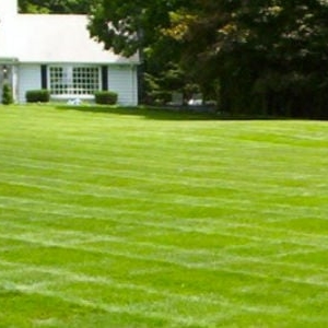 Photo of MR General Landscaping Services