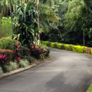 Photo of MR General Landscaping Services