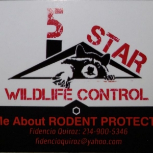 Photo of 5 Star Wildlife Control