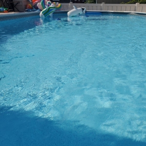 Parsippany Kevin's Pool Service