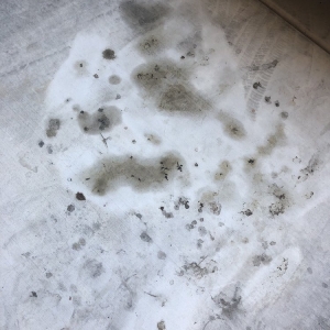 Photo of Highways Byways&Driveways pressure washing