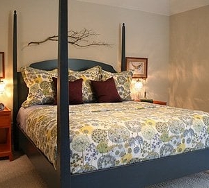 Photo of Room Fu