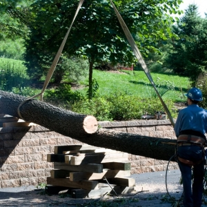 Photo of G & G Lawn Care & Tree Service