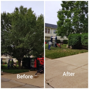 Photo of G & G Lawn Care & Tree Service