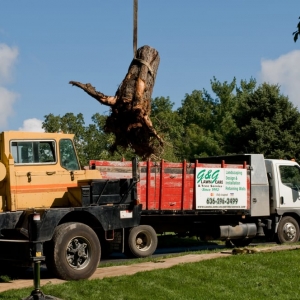 Photo of G & G Lawn Care & Tree Service