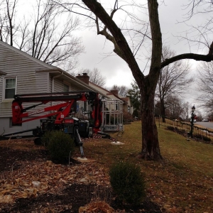 Photo of G & G Lawn Care & Tree Service