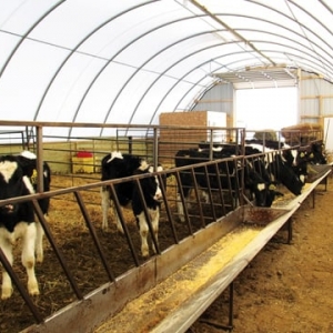 Photo of Natural Light Fabric Structures