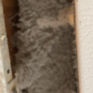 Photo of Fox Management
