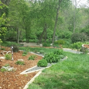 Photo of Plant Life Designs