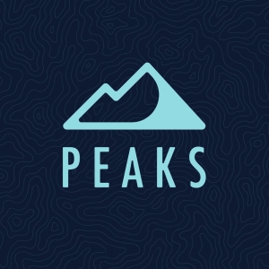 Denver Peaks Digital Marketing