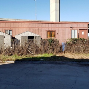 Photo of Gabriels Tree Services