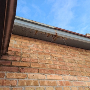 Photo of Touhy Repairs