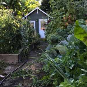 Photo of Eden's Gate Landscape Design