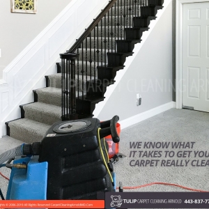 Photo of Tulip Carpet Cleaning Arnold