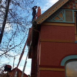 Photo of Chimney Doctor