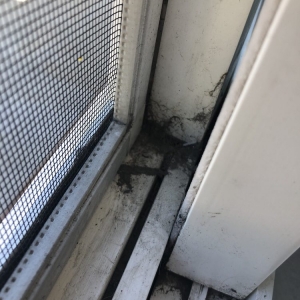 Photo of Squeegee Window Cleaning