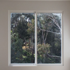 Photo of Squeegee Window Cleaning