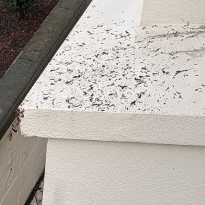 Photo of Valley Window & Gutter Cleaning