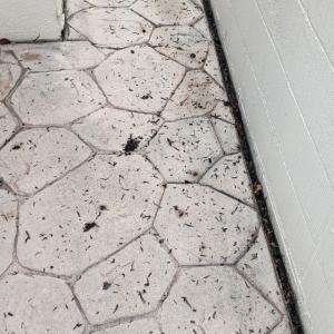 Photo of Valley Window & Gutter Cleaning