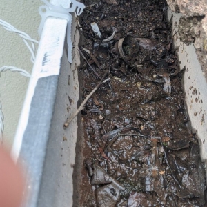 Photo of Valley Window & Gutter Cleaning