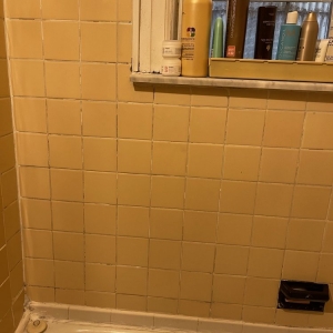 Photo of Grout Guru NYC