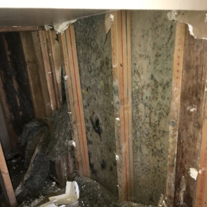 Photo of Five One Five Restoration
