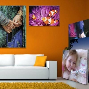 Photo of Voila Print