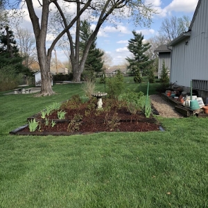 Olathe Cliffy Care Landscaping