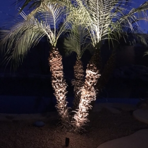 Photo of Irrigation Joe