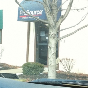 Photo of ProSource of Bridgeville