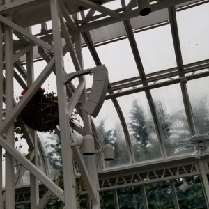 Photo of Lvnet