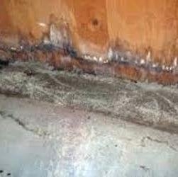 Photo of 1st Choice House Leveling
