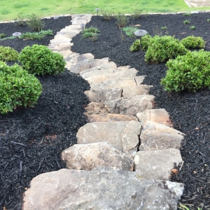 Photo of Georgia Outdoor Services