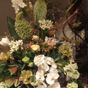 Photo of Divine Designs