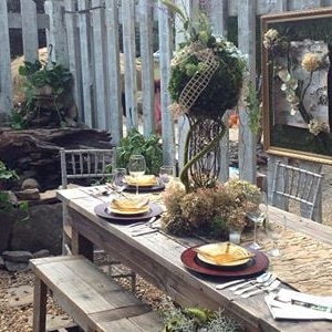 Photo of Divine Designs