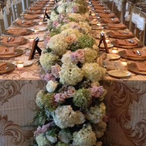 Photo of Divine Designs
