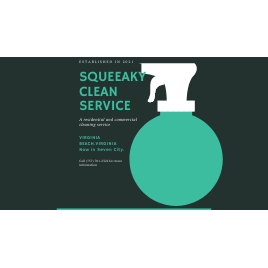 Photo of Squeeaky Clean Service