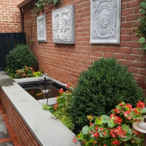 Washington The Pampered Garden