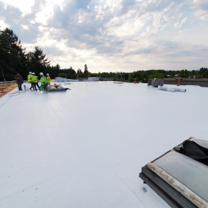 Puyallup Ace Construction Pro
