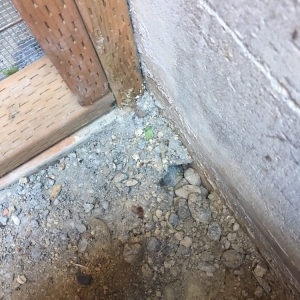 Photo of Clean Crawls - Insulation Install & Removal: Seattle