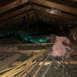 Photo of Attic Zone Insulation