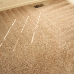 Photo of Clean Quik Carpet