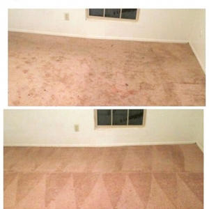 Photo of Grant Carpet Cleaning