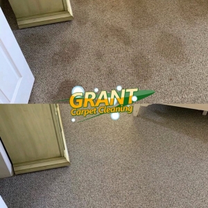 Photo of Grant Carpet Cleaning