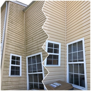 Photo of Premium Exterior Cleaning