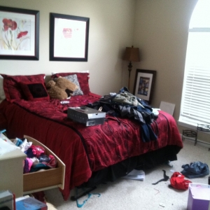 Photo of Cleaning Craze