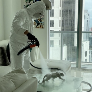 Miami Steambull