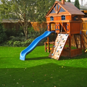 Photo of Lone Star Synthetic Turf