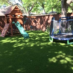 Photo of Lone Star Synthetic Turf